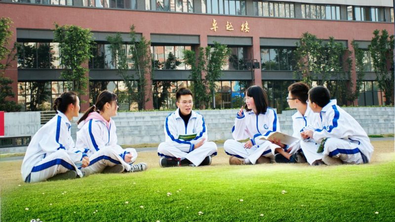 电子元件材质分类：揭秘电子世界的基石**